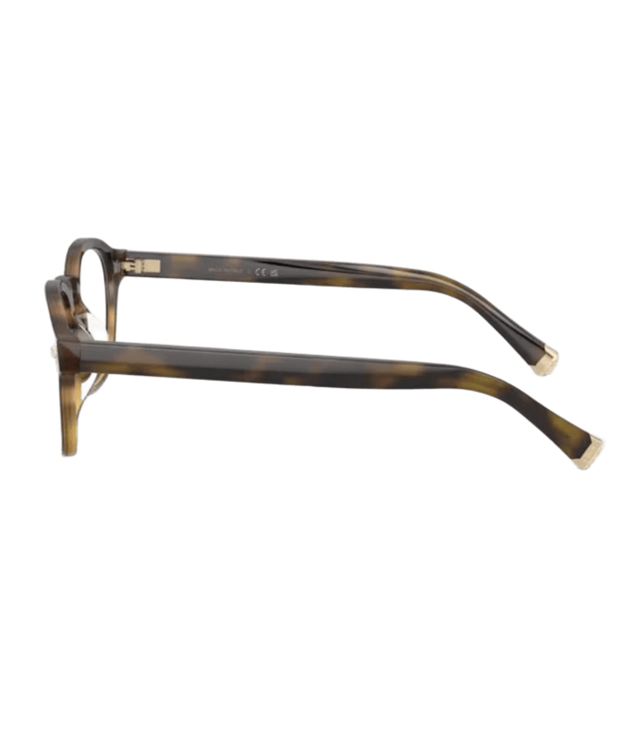 Brunello Cucinelli 0BC4006 Square Eyeglasses
