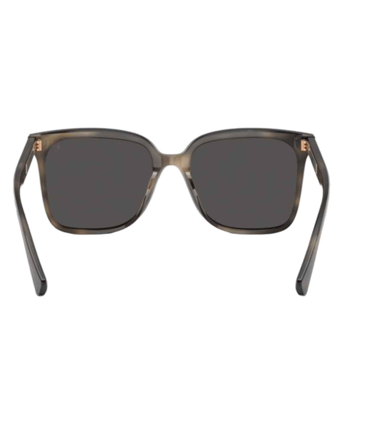 Brunello Cucinelli 0BC4007S Square Sunglasses
