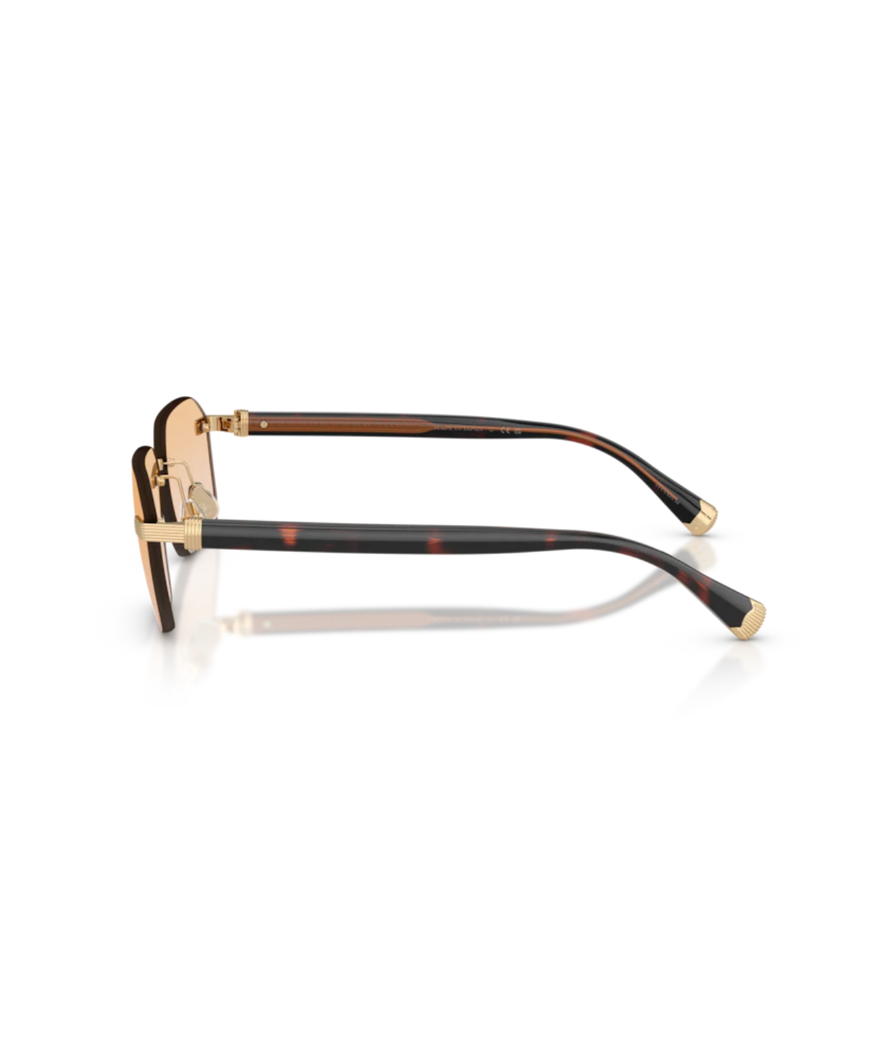 Brunello Cucinelli Tyler 0BC1011T Rectangle Eyeglasses