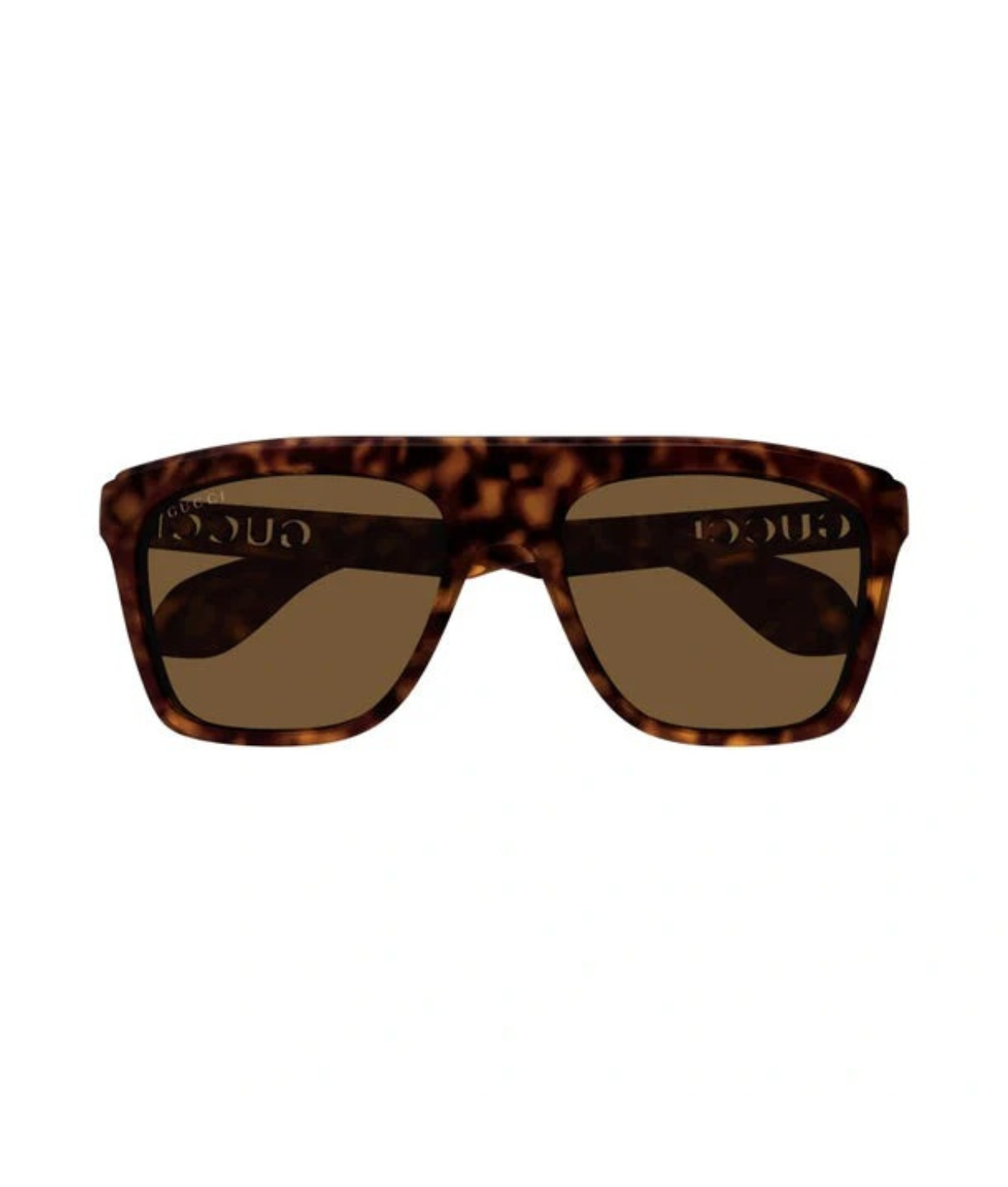 Havana-Brown