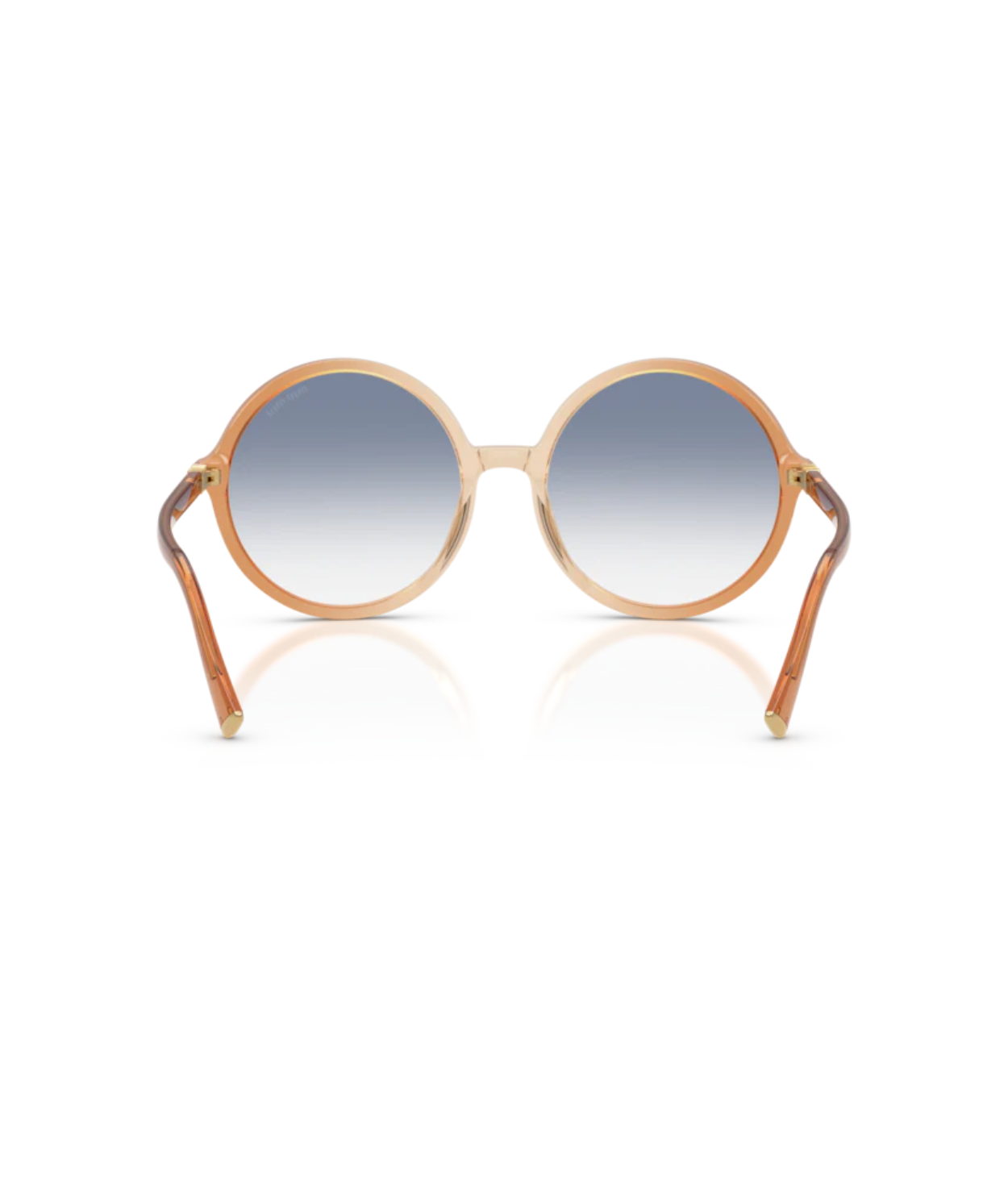 Brown Gradient Brandy-Clear Gradient Light Blue