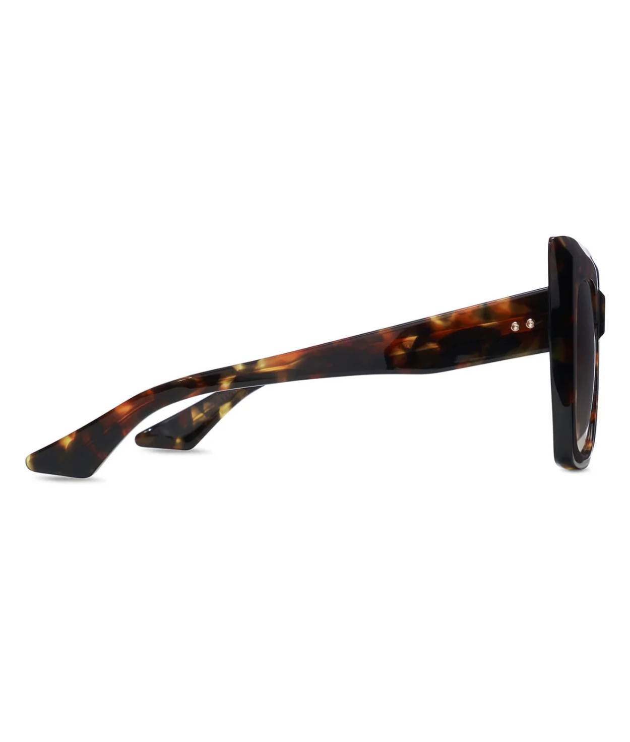Haute-Tortoise-Brown