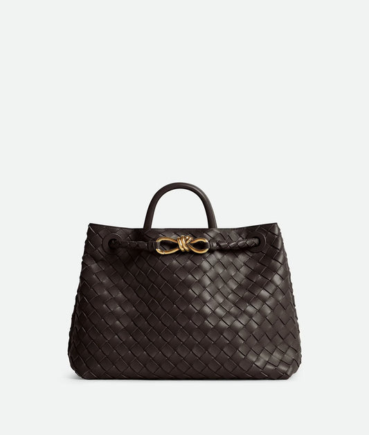 Medium Andiamo Bag