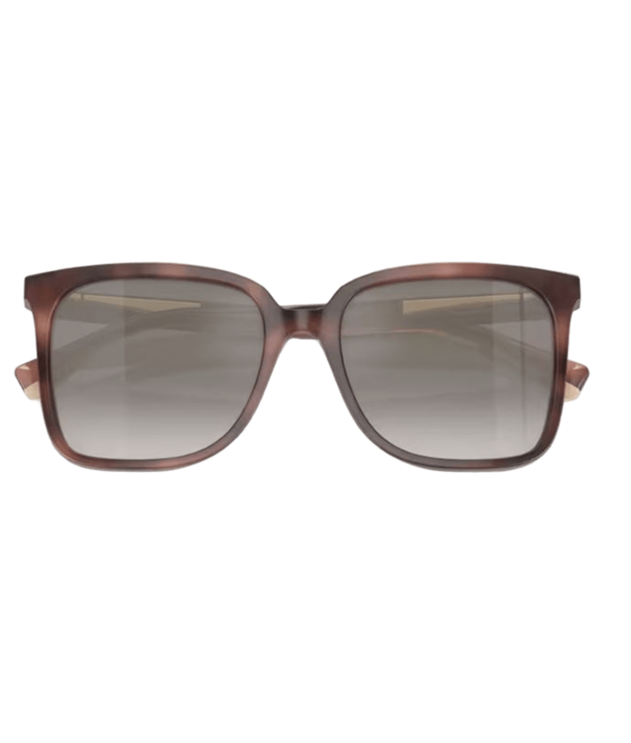Brunello Cucinelli 0BC4007S Square Sunglasses