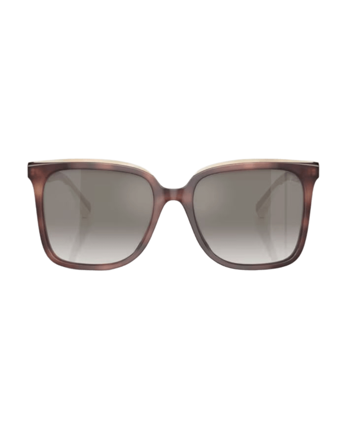 Brunello Cucinelli 0BC4007S Square Sunglasses