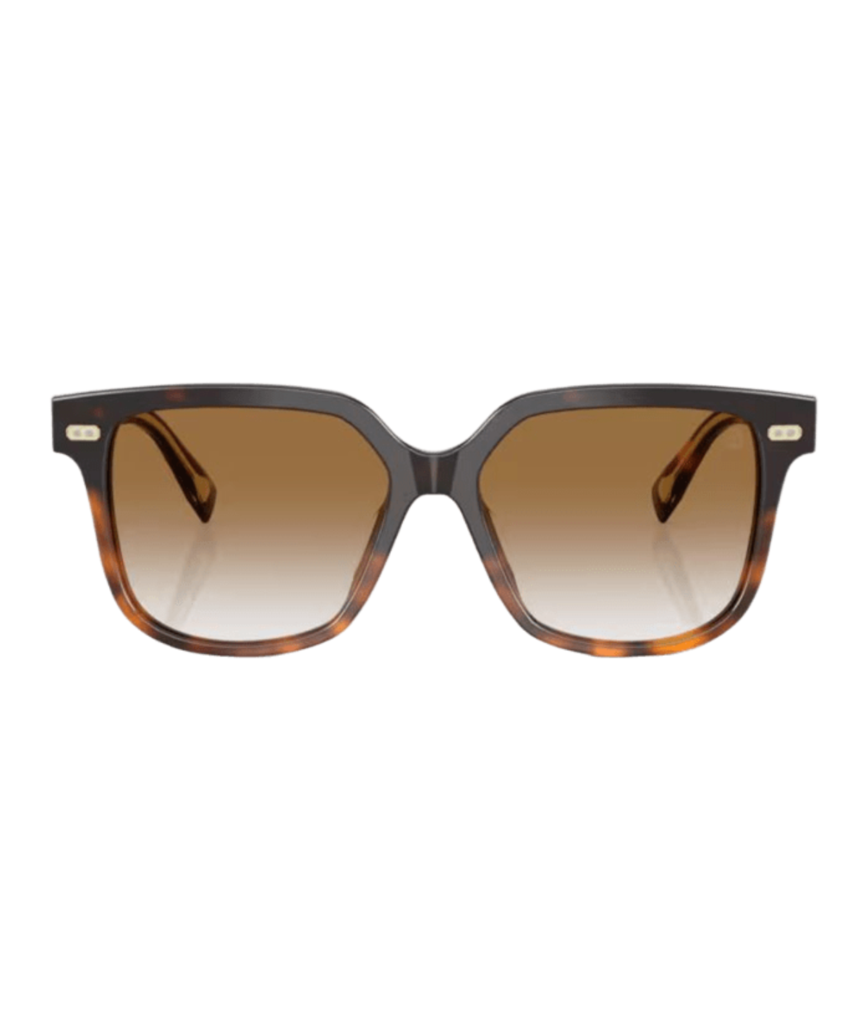 Brunello Cucinelli 0BC4010S Square Sunglasses