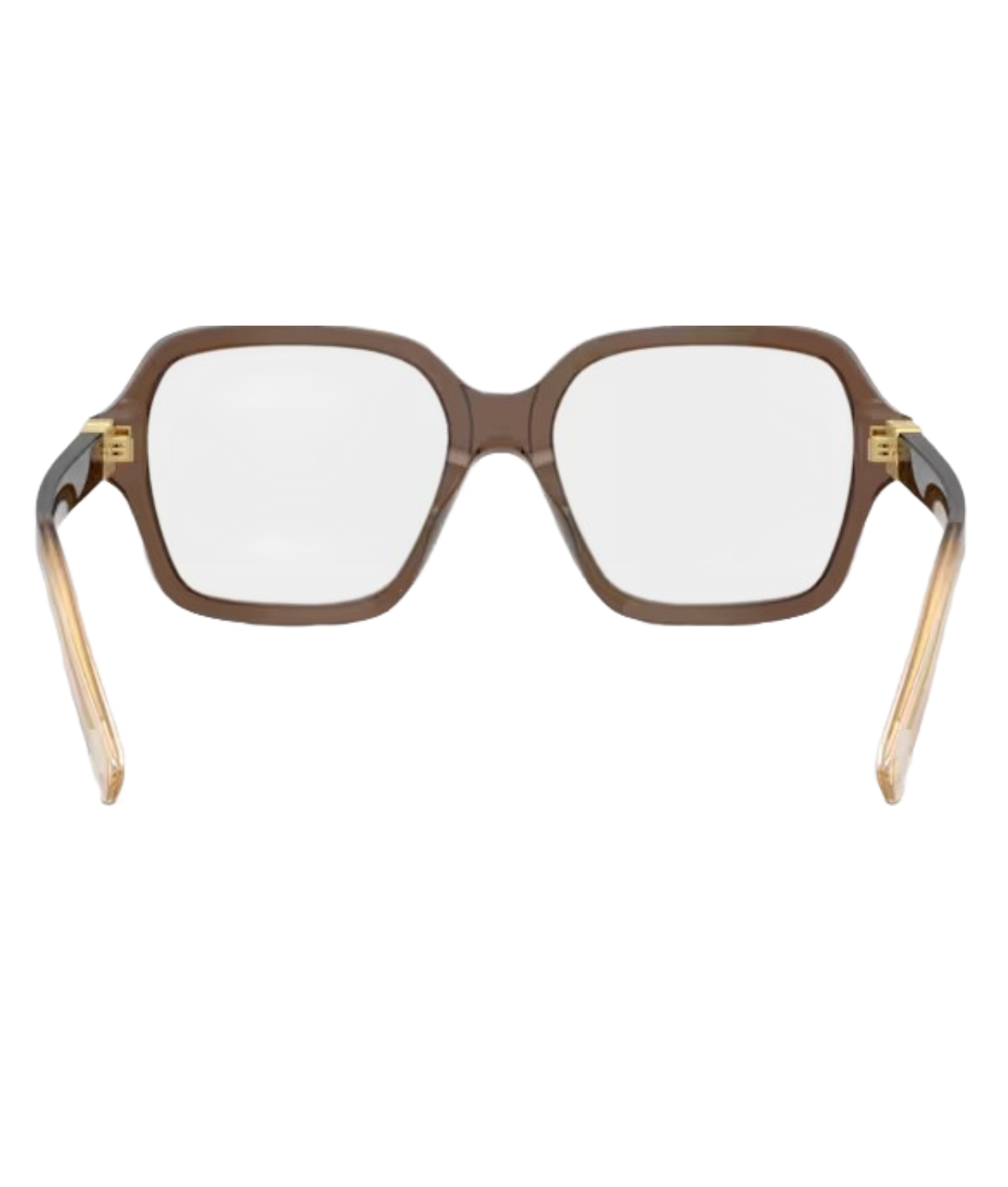 Brown Transparent