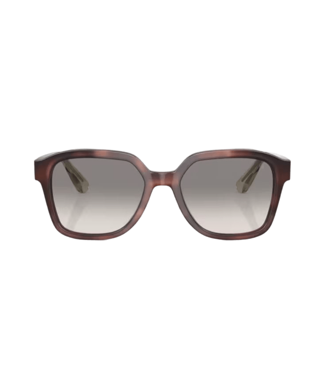 Brunello Cucinelli 0BC4005S Irregular Sunglasses