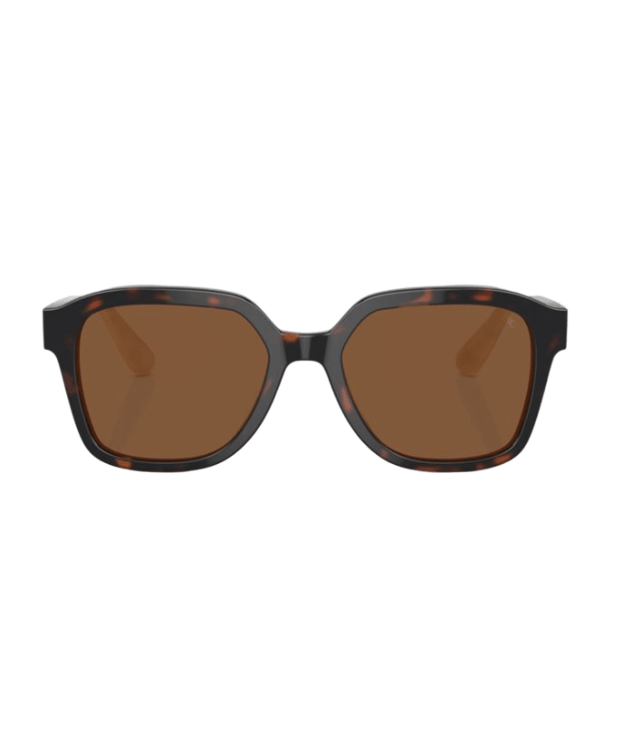 Brunello Cucinelli 0BC4005S Irregular Sunglasses