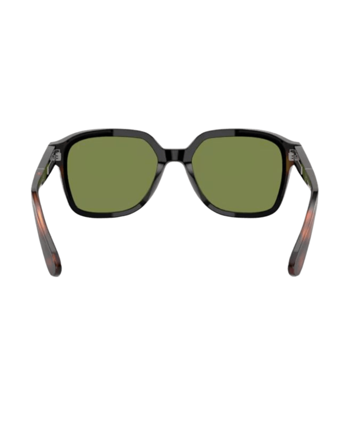 Brunello Cucinelli 0BC4005S Irregular Sunglasses