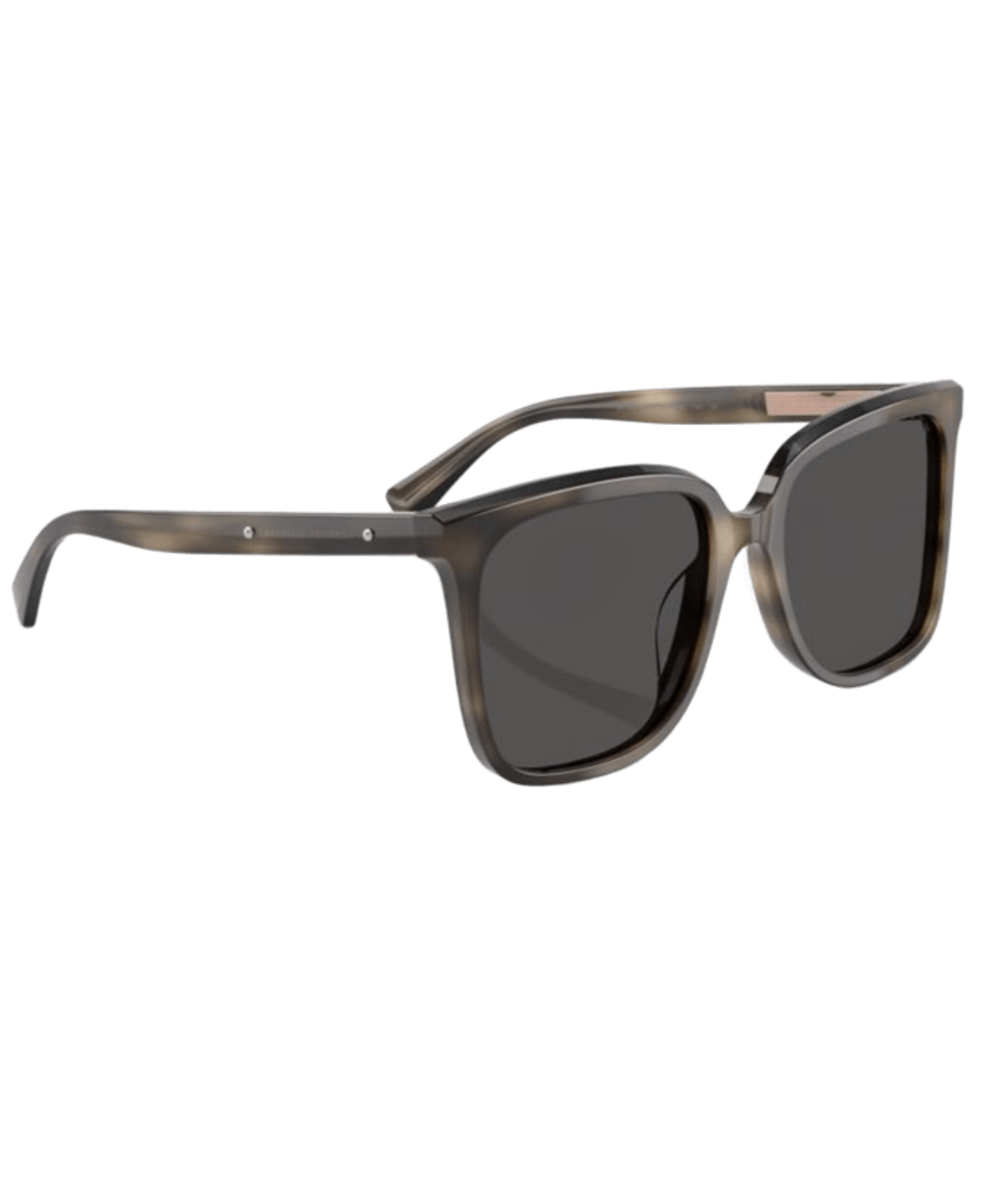 Brunello Cucinelli 0BC4007S Square Sunglasses