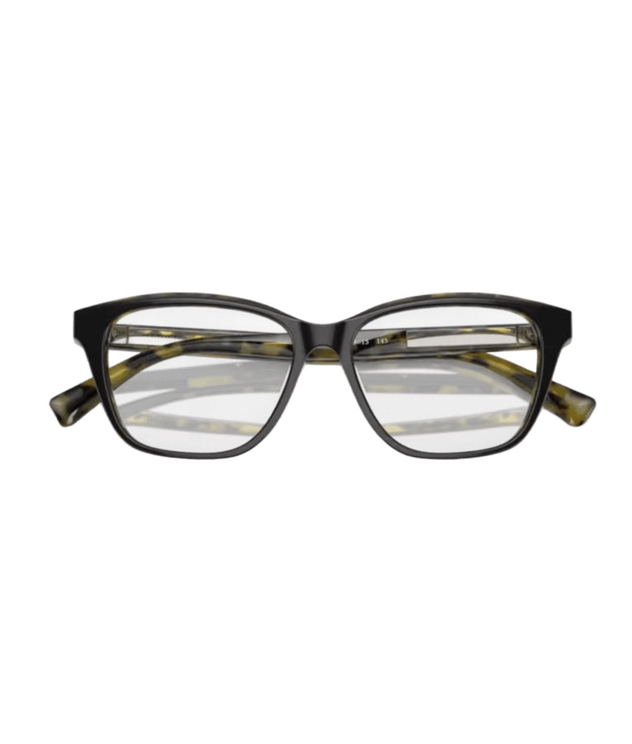 Brunello Cucinelli 0BC3004 Butterfly Eyeglasses