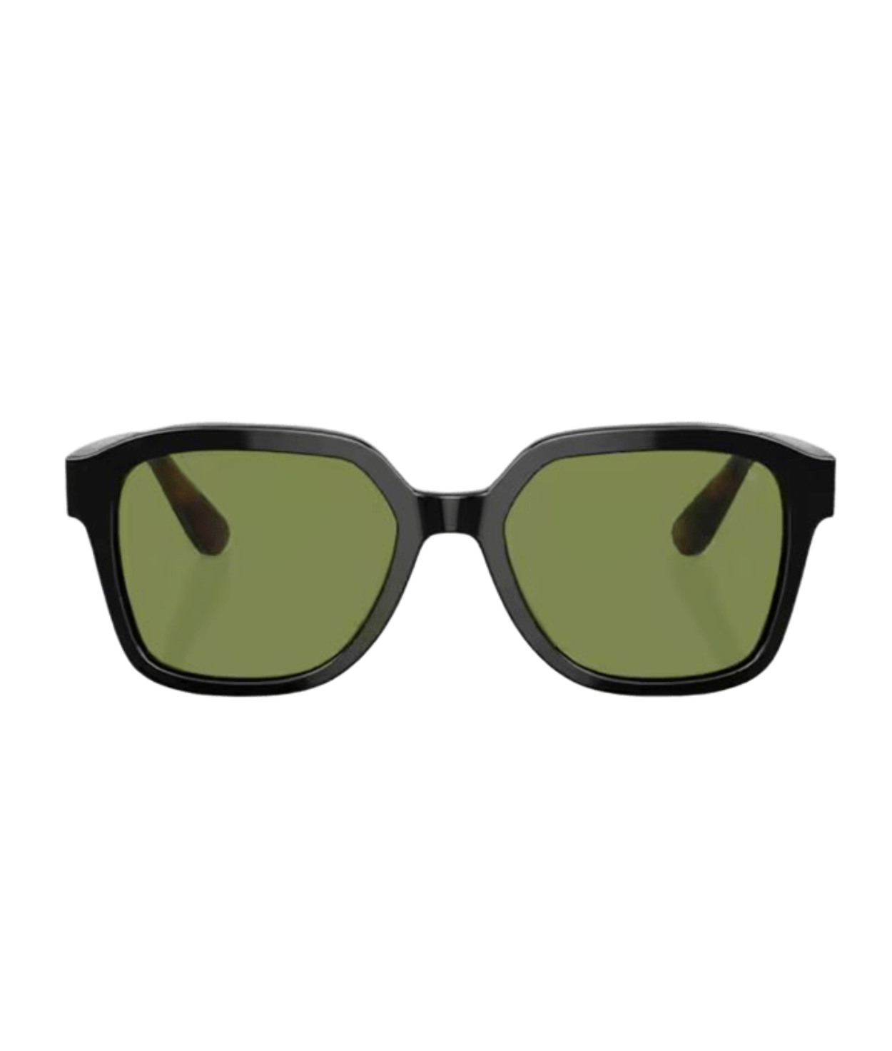 Brunello Cucinelli 0BC4005S Irregular Sunglasses