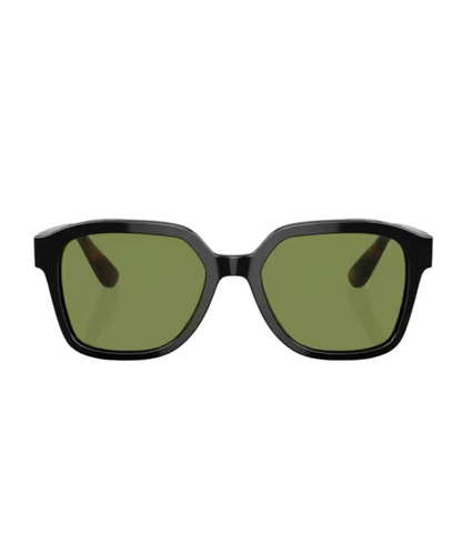Brunello Cucinelli 0BC4005S Irregular Sunglasses