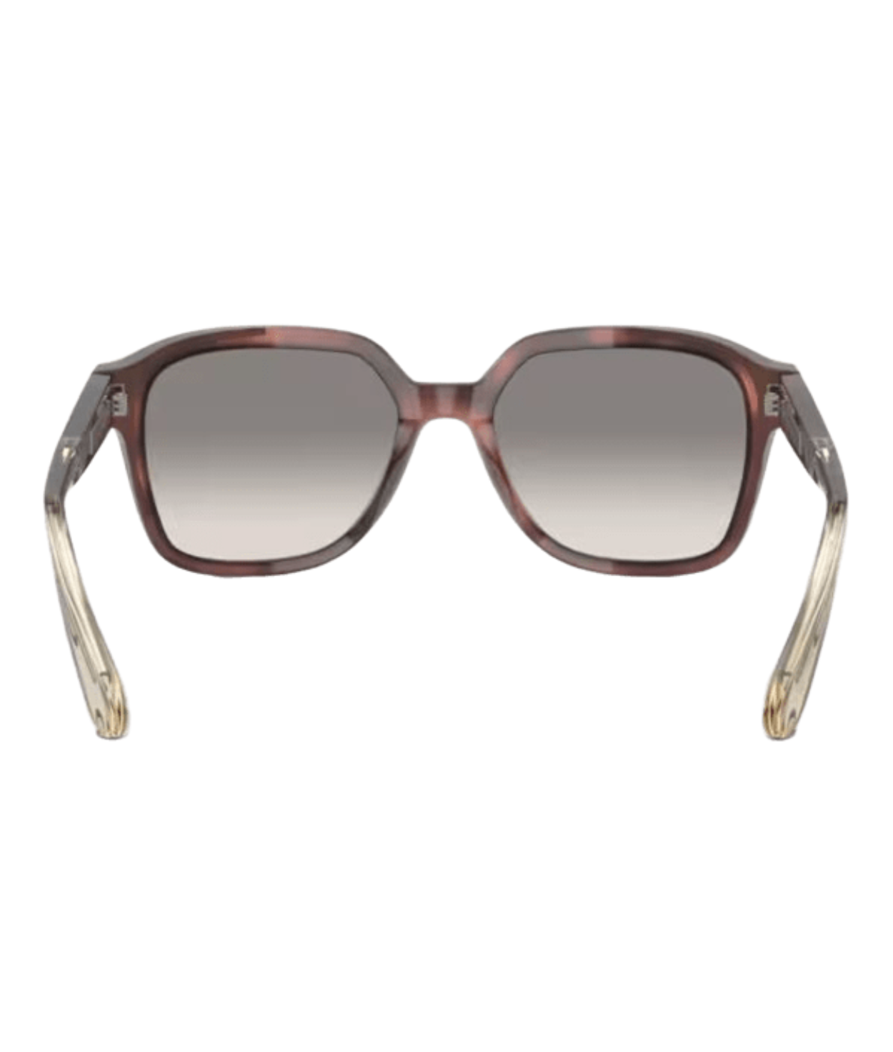 Brunello Cucinelli 0BC4005S Irregular Sunglasses