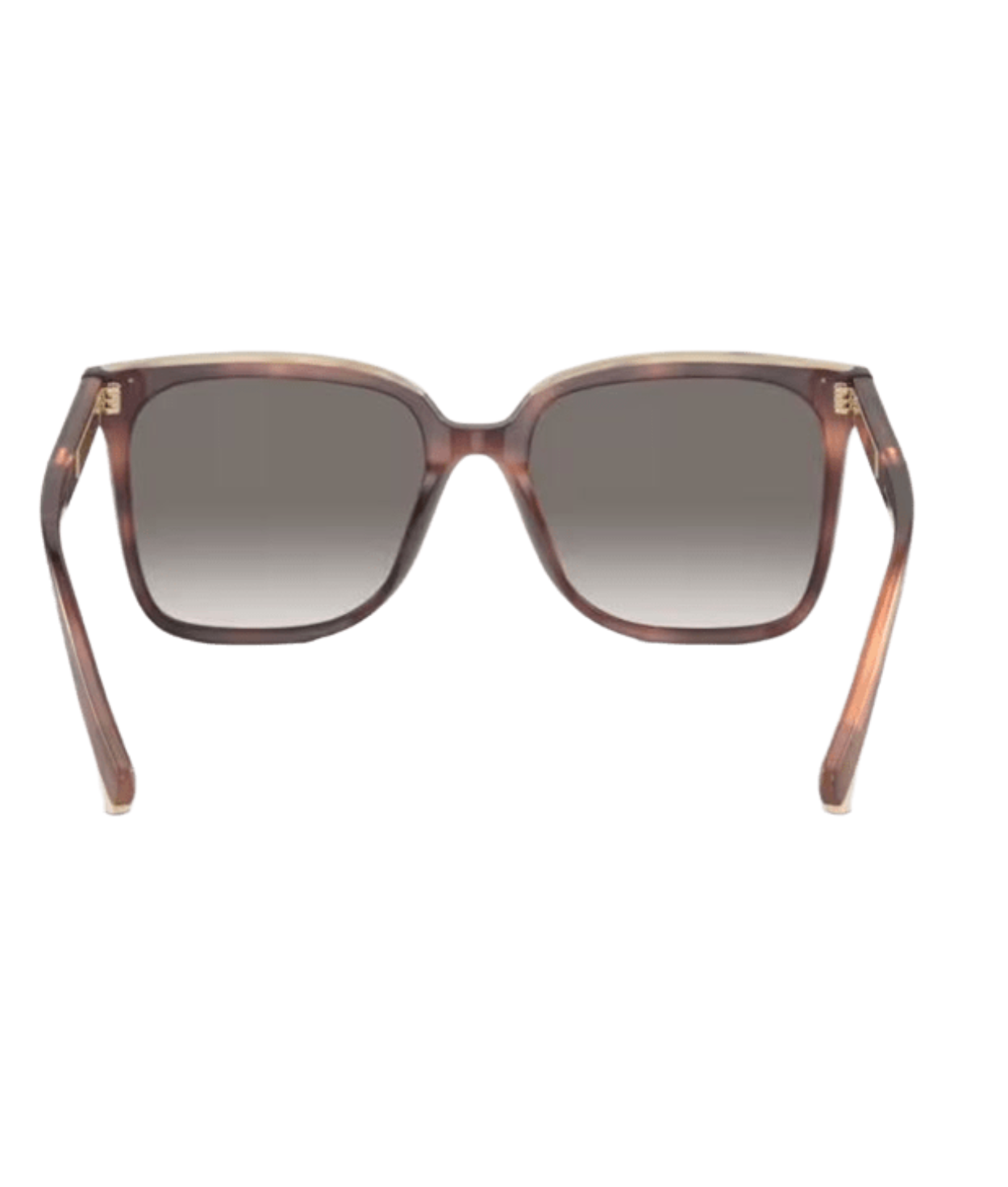 Brunello Cucinelli 0BC4007S Square Sunglasses