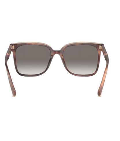 Brunello Cucinelli 0BC4007S Square Sunglasses
