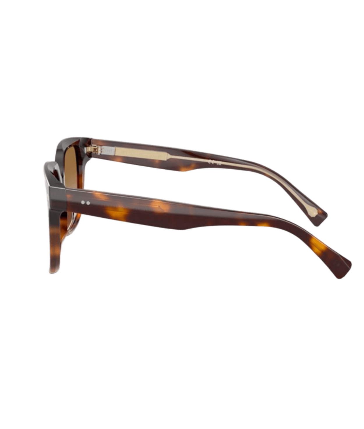 Brunello Cucinelli 0BC4010S Square Sunglasses