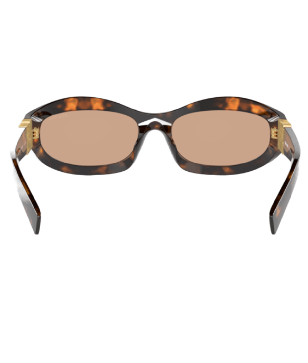 Honey Havana-Dark Brown