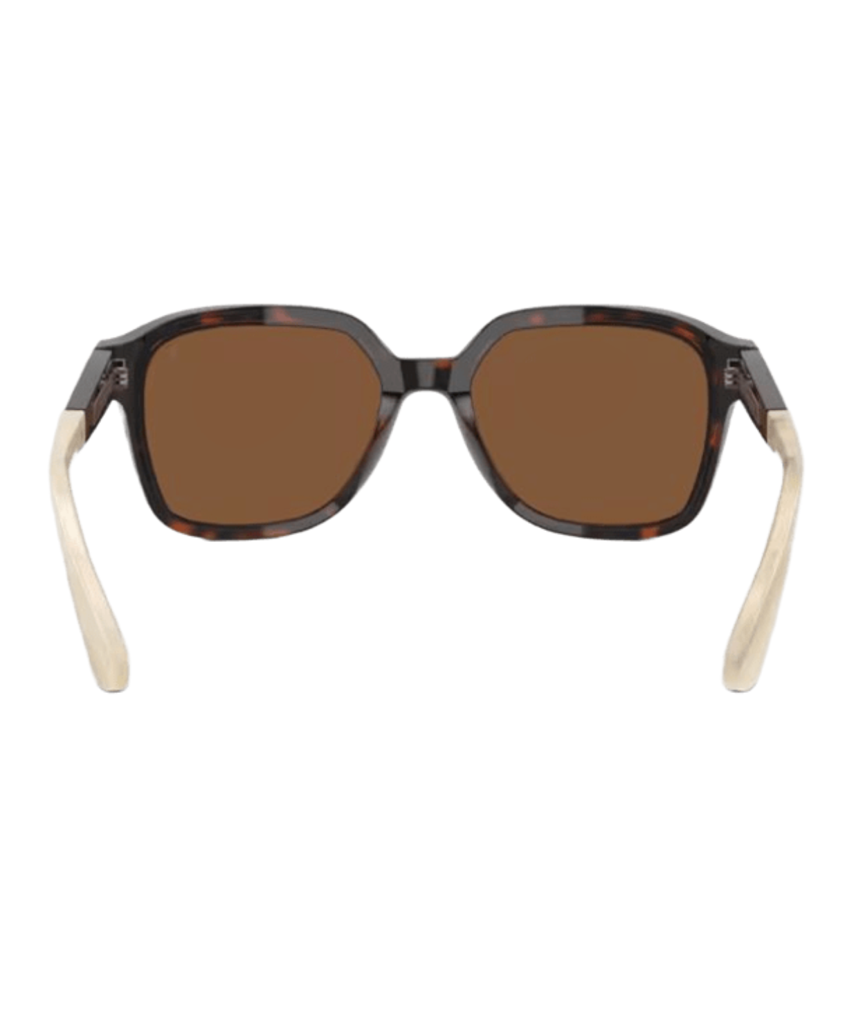 Brunello Cucinelli 0BC4005S Irregular Sunglasses