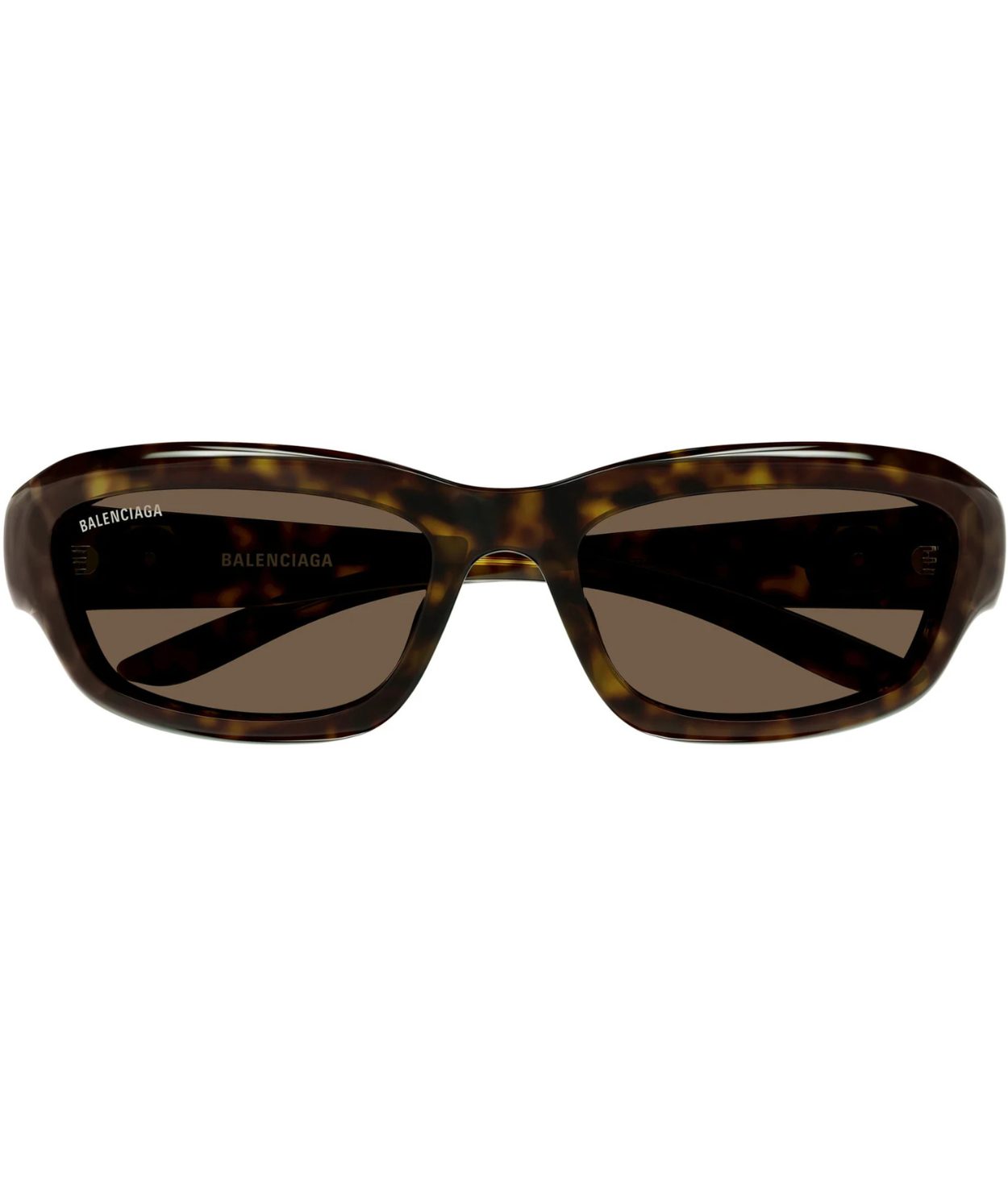 Havana-Brown