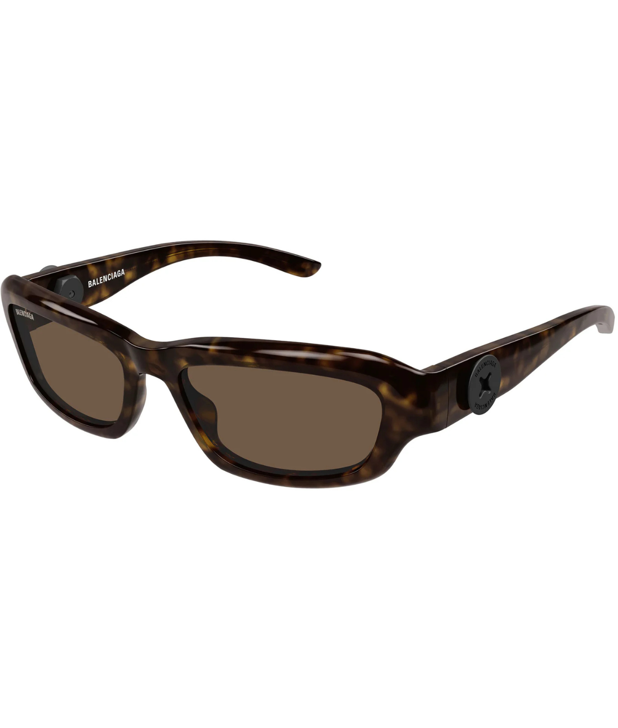 Havana-Brown