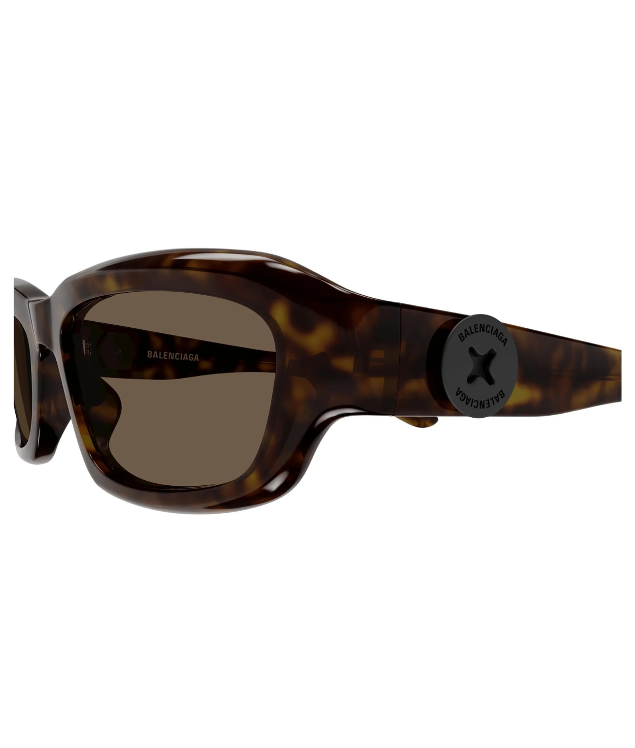 Havana-Brown