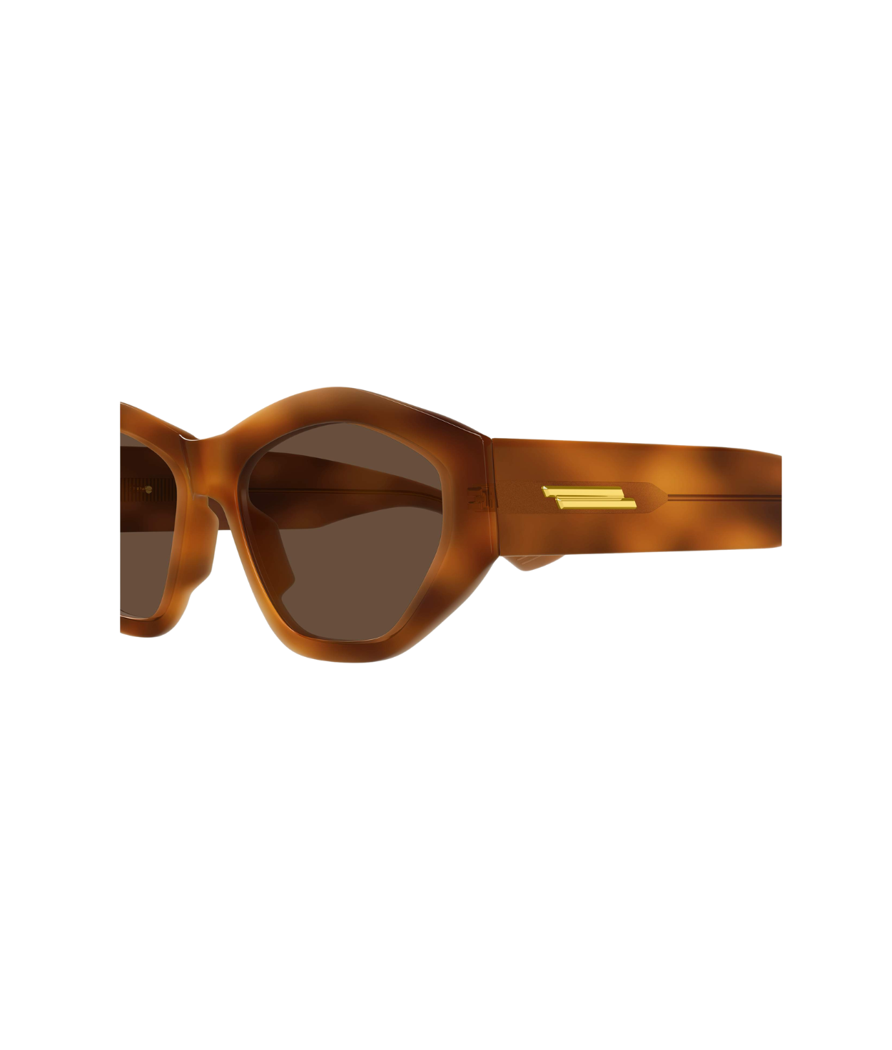 Havana-Brown