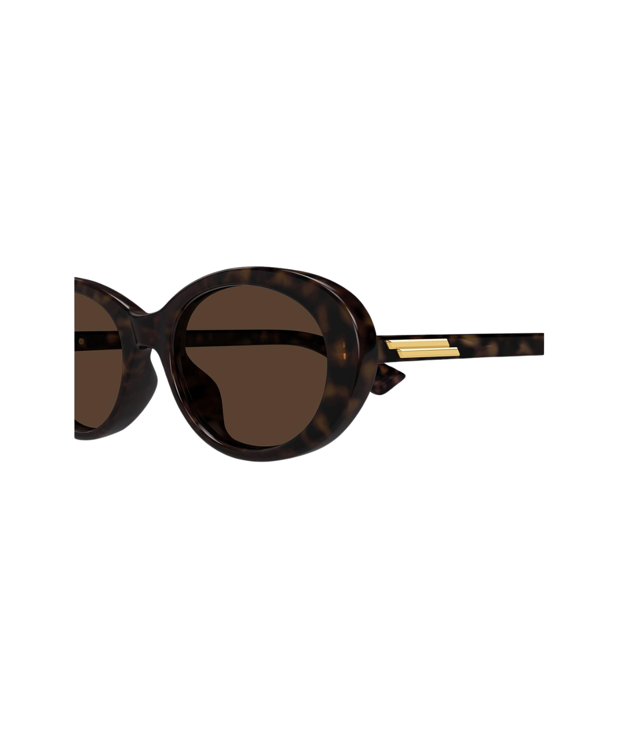Havana-Brown
