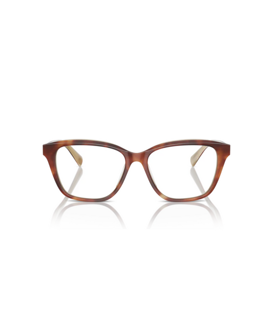 Brunello Cucinelli 0BC3004 Butterfly Eyeglasses