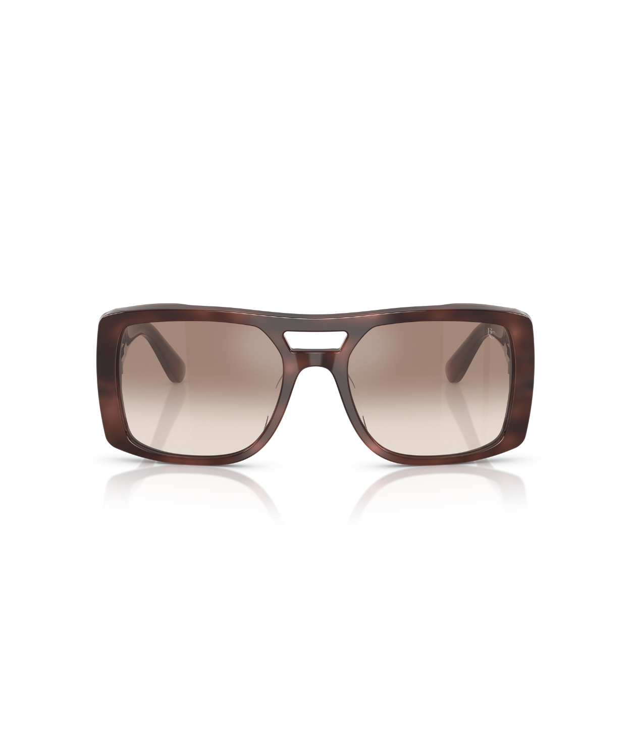 Havana Hydrangea-Clear Gradient Brown Mirror Silver