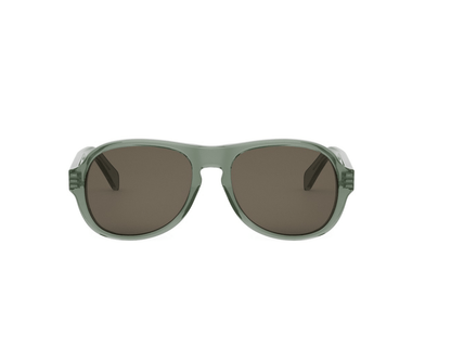 Shiny Green-Brown