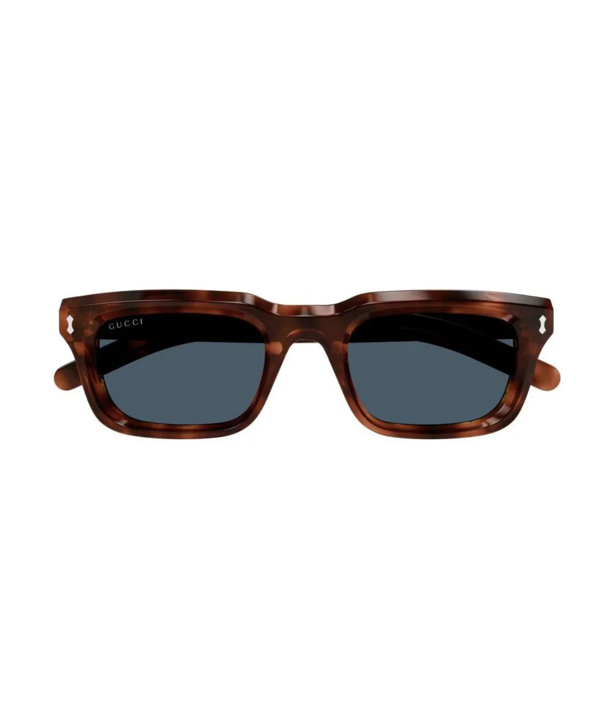Shiny Dark Havana-Blue
