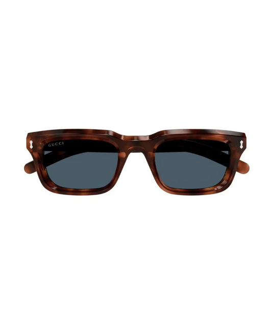 Shiny Dark Havana-Blue
