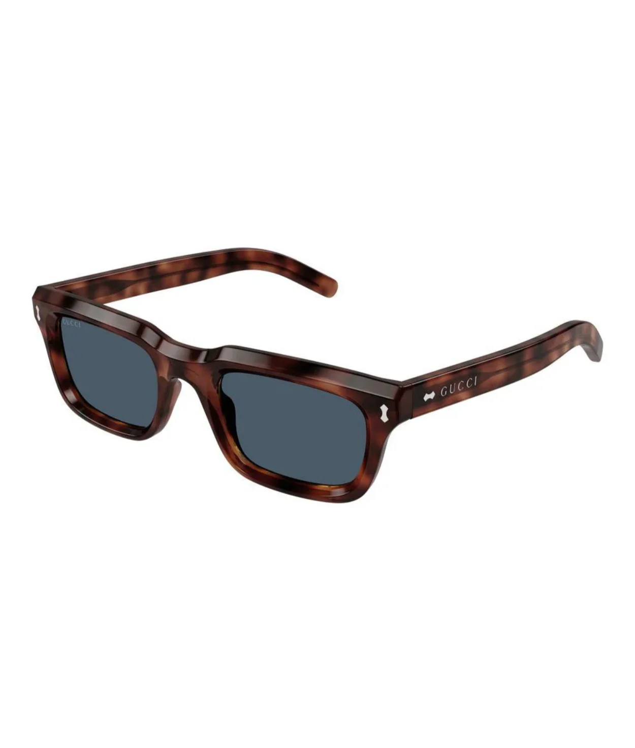 Shiny Dark Havana-Blue