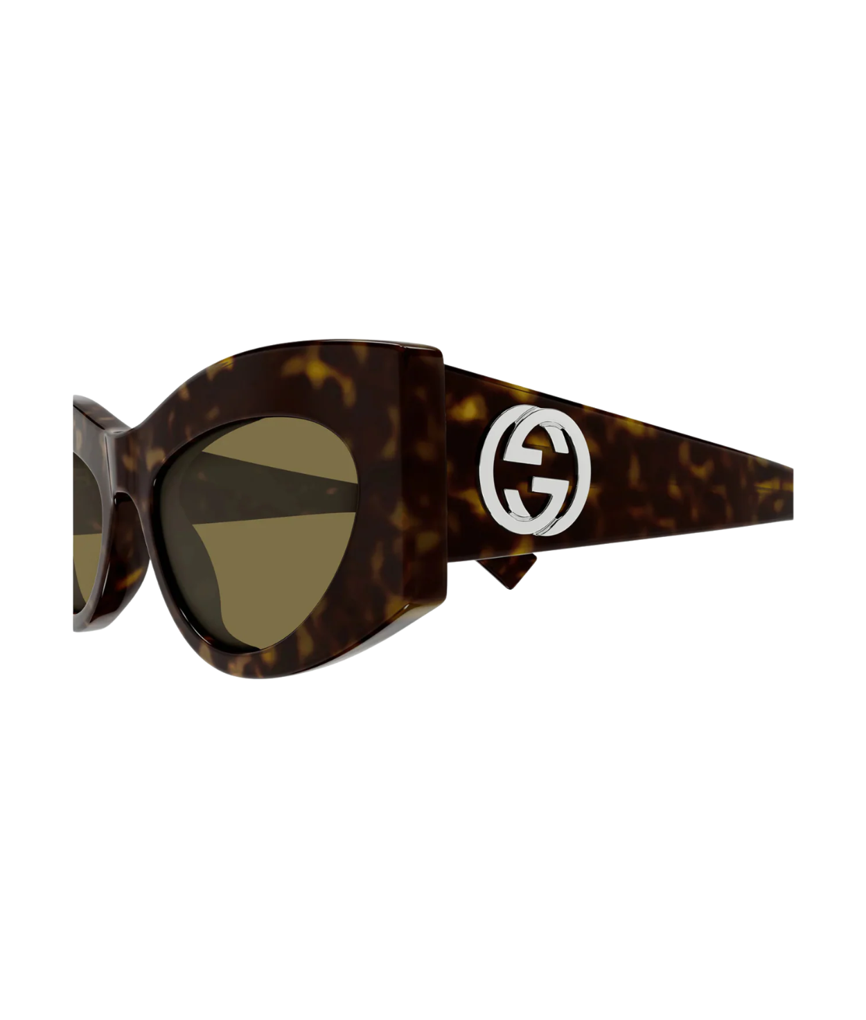 Havana-Brown