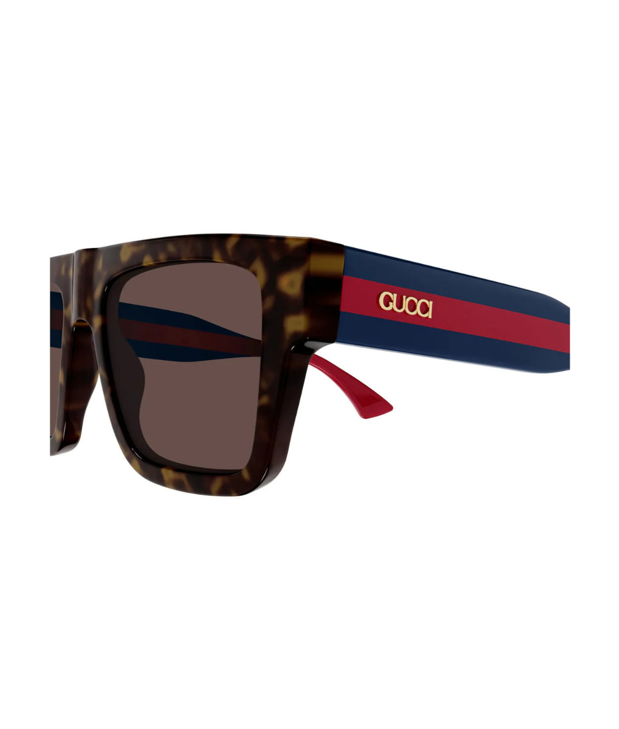 Havana-Blue-Brown