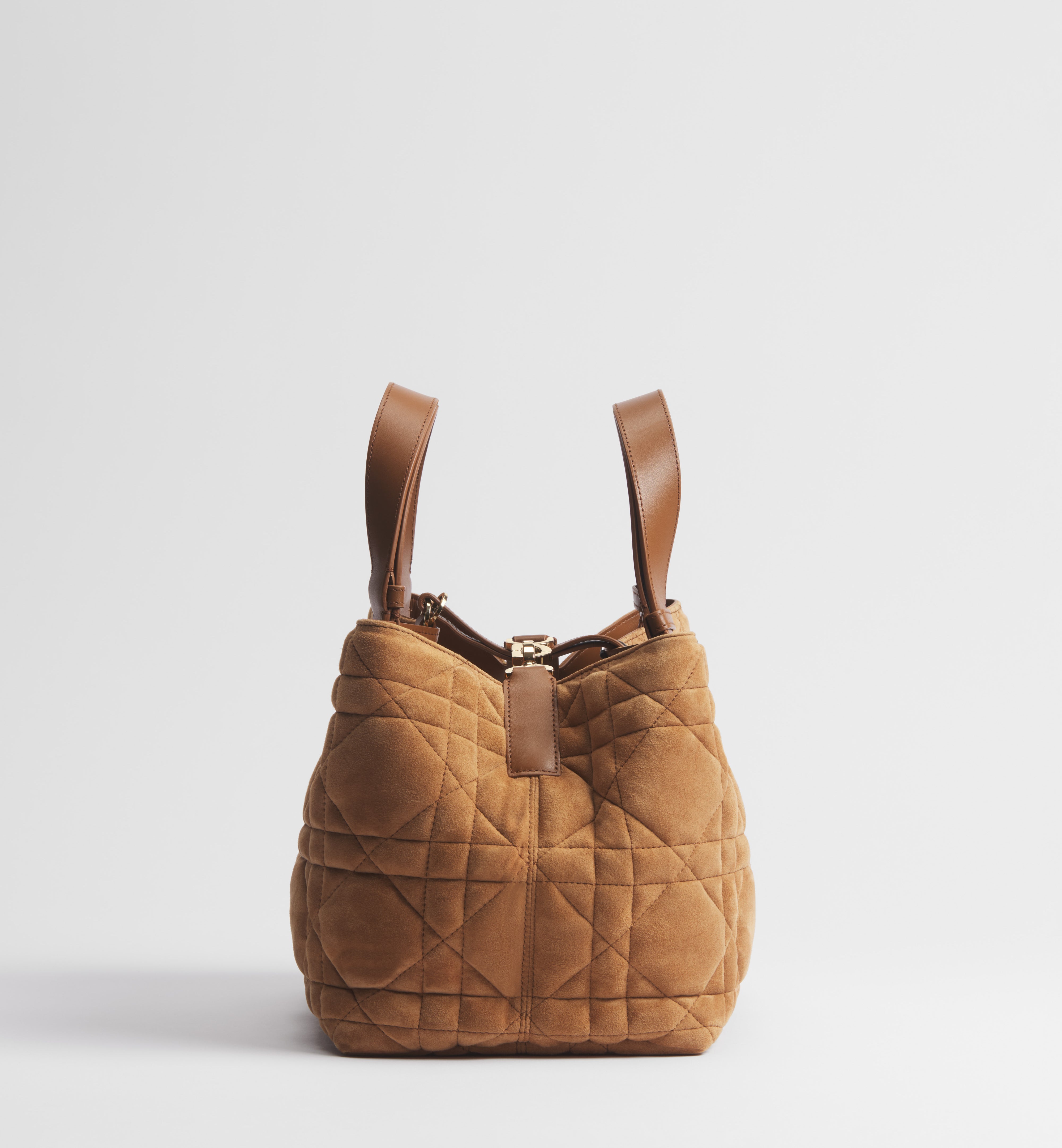 Medium Dior Toujours Bag