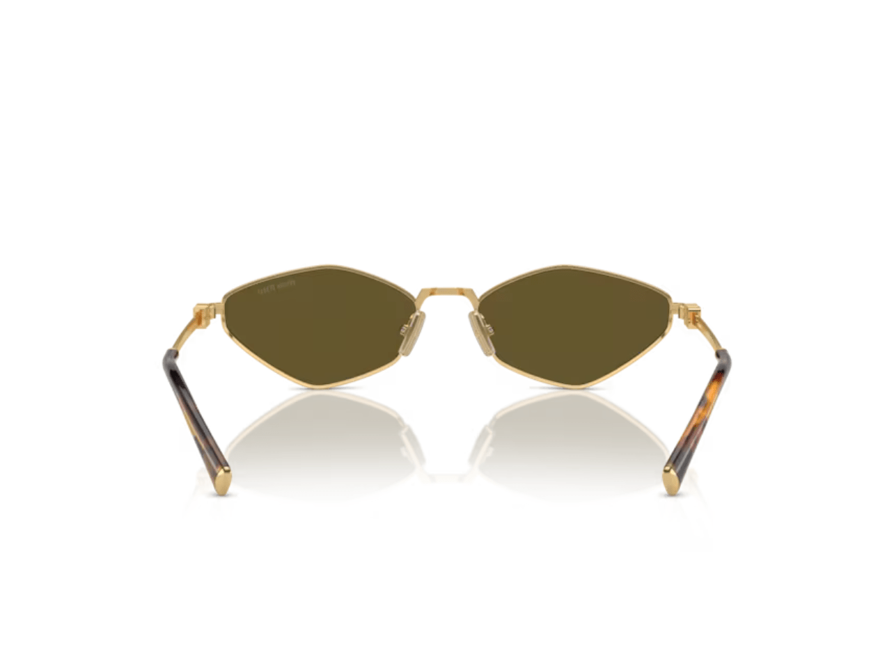Gold-Dark Brown
