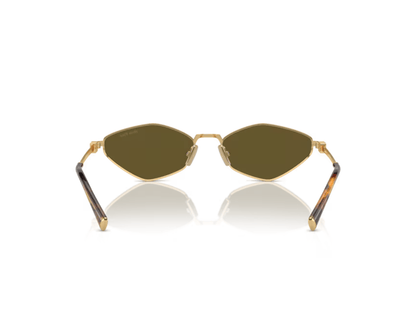 Gold-Dark Brown