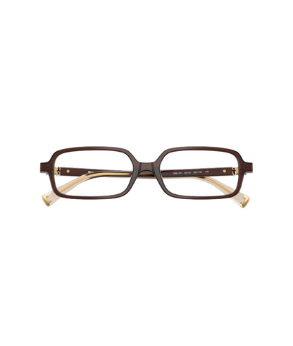 Brown Transparent