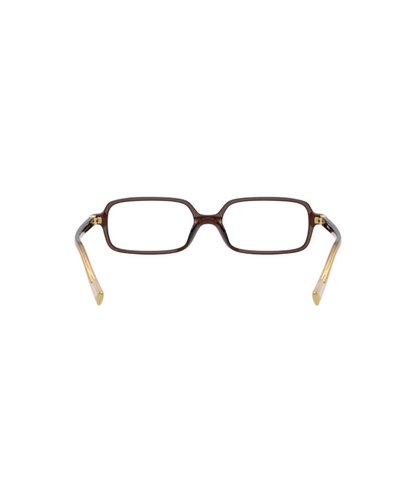 Brown Transparent