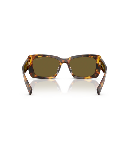 Honey Havana-Dark Brown