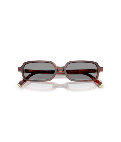 Havana Mahogany-Gray