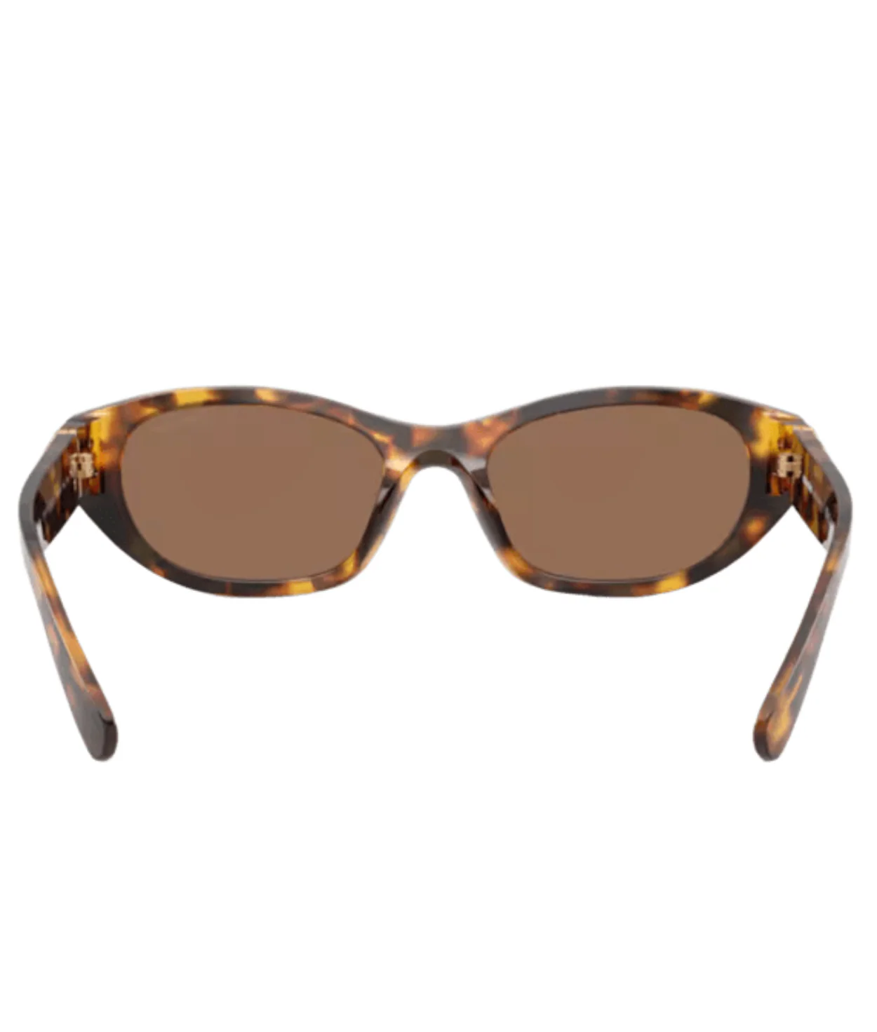 Honey Havana-Dark Brown