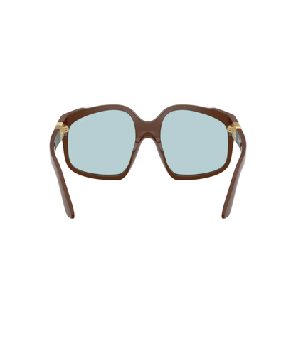 Chocolate-Light Blue