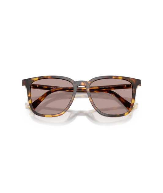 Honey Havana-Light Purple Brown