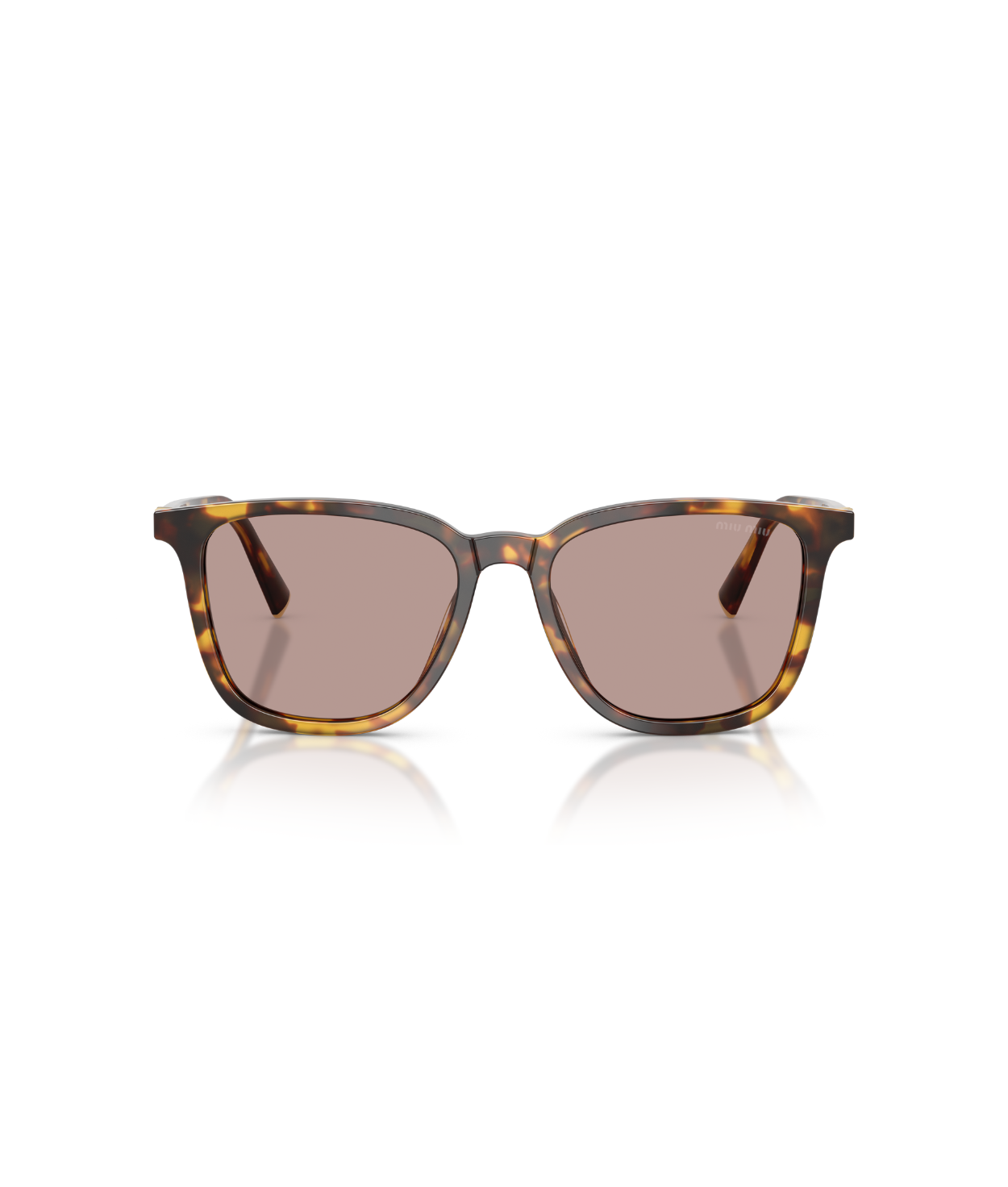 Honey Havana-Light Purple Brown