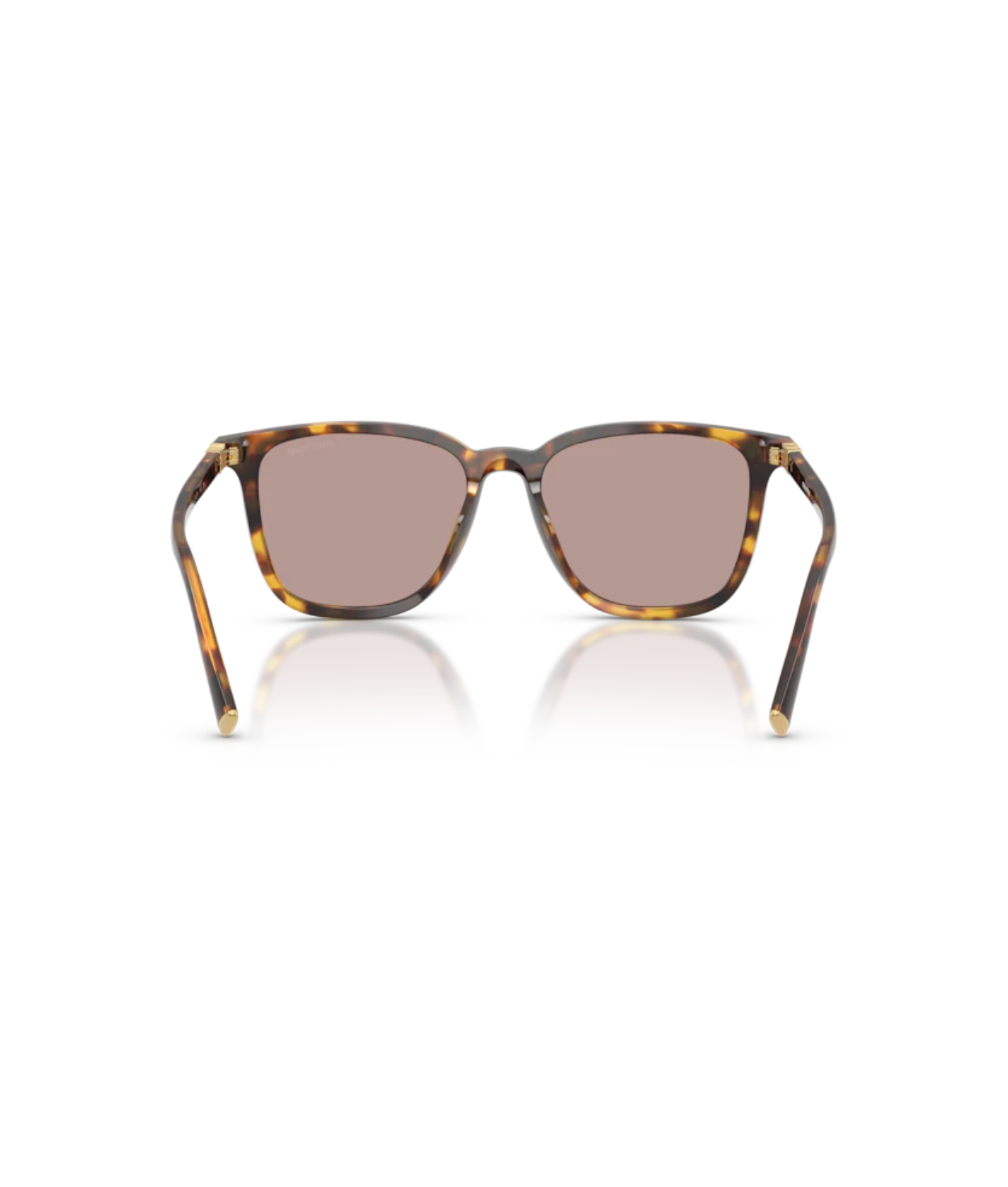 Honey Havana-Light Purple Brown