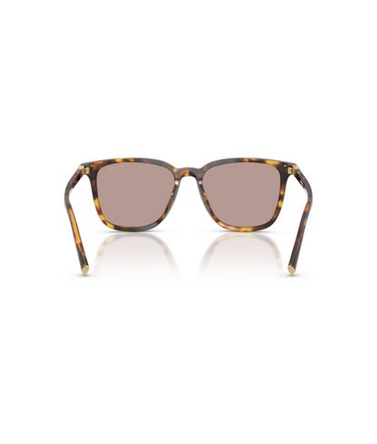 Honey Havana-Light Purple Brown